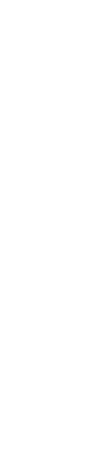 みにくい人形、けれど彼女にとっては命だった。